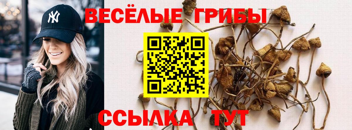 Псилоцибиновые грибы прущие грибы  Псилоцибиновые грибы MAGIC MUSHROOMS  Стрежевой  купить закладку  Вход с VPN 