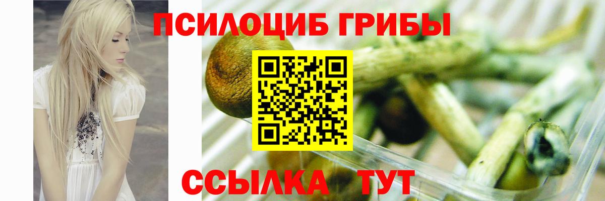 Галлюциногенные грибы GOLDEN TEACHER Стрежевой